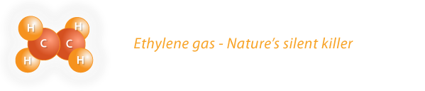 Ethylene gas - Produce killer